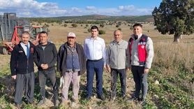 Dumlupınar Kaymakamı Teltik, Şeker Pancarı Hasadını Yerinde İnceledi