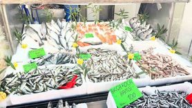 Düzce'de Balık Fiyatları Düşüyor: Vatandaşların İlgisi Artıyor