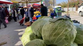 Eskişehir Pazarında Dev Lahanalar Dikkat Çekiyor