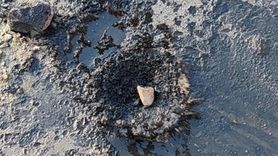 Gerede'de Çevresel Kirliliğe Karşı Hukuki Mücadele Devam Ediyor