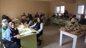 Hatay'da Su Sümbülleri ile Kadınların İstihdamı