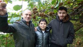 İran Kivisi Trabzon'da Üreticileri Zorluyor