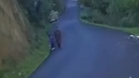 Kayıp Anne ve Oğluna Dair Yeni Görüntüler Elde Edildi