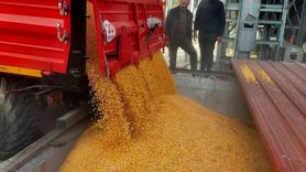 Kuzka Desteğiyle Çiftçilere Modern Mısır Kurutma Tesisi