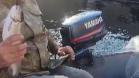 Malatya'da Balıkçı ile Kedi Arasındaki Eğlenceli Anlar