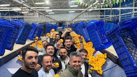 MÜSİAD Antalya, Finike'deki Yerel Değerlere Destek Veriyor