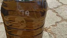 Mut İlçesinde Zeytin Hasadı 120 Bin Ton Bekleniyor