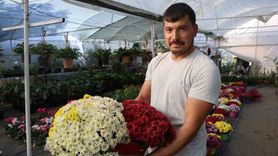 Öğretmenler Günü'nde Saksı Çiçeklerine İlgi Artıyor