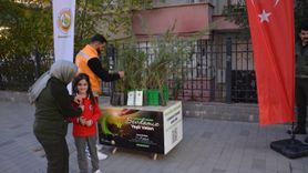 Siirt'te Fidan Dikimine Davet