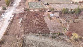 Sivas'ta Patates Söküm Sezonu Devam Ediyor