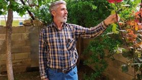 Suruç'ta Elektrikli Bisiklet Kazası: Sürücü Hayatını Kaybetti