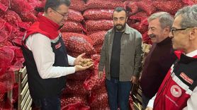 Tekirdağ'da Ceviz Üretimi Artıyor