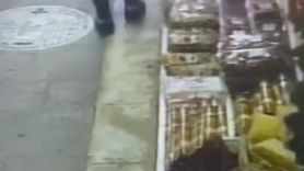 Zonguldak'ta Kuruyemişçilikte Ceviz Hırsızlığı Olayı