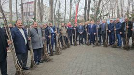 Adilcevaz'da 12 Bin Aşılı Ceviz Fidanı Dağıtımı