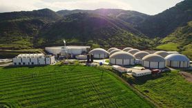 ARF Bio'nun Halka Arzında Rekor Talep