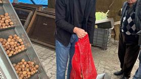 Ceviz Üretimiyle Değişen Hayatlar: İnegöl'de Bahçe Yatırımları