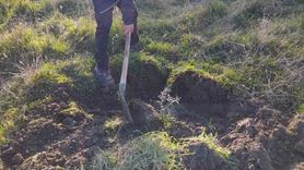 Demirci'de Tarım Üretimi İçin Atıl Araziler Değerlendiriliyor