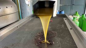 Denizli'de Zeytin Hasadı Başladı: Altın Sıvıya Dönüşme Süreci