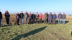 Edirne'de Mera Islah Projeleri ile Hayvancılığa Destek