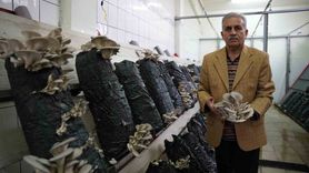 Eğitim ve Üretim Bir Arada: Tokat'ta Mantar Üretim Tesisi