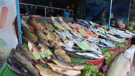 Elazığ'da Soğuk Hava Balık Talebini Artırdı