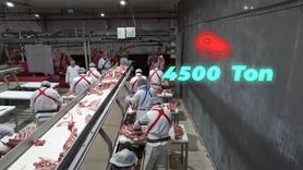 Elazığ Tarımında Yeni Dönem: 4 Bin 500 Ton Kırmızı Et Üretimi