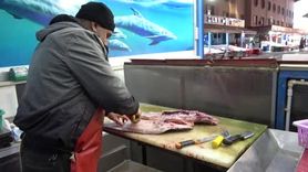 Geciken Kış Balığı Krizi: Hamside Düşüş ve Fiyat Artışı