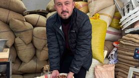 Giresun'da Fındık Fiyatları Yükseliyor