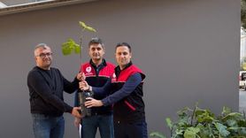 Gömeç'te İncir Üretimini Artıracak Fidan Dağıtımı