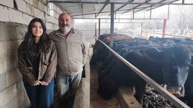 Hayvancılıkla Yeni Bir Başlangıç: Atama Bekleyen Genç Sağlıkçı