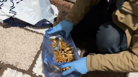 Iğdır'da Kuyumcu Hırsızlığı: 2 Kilo Altın Ele Geçirildi