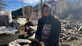 Kestanelerin Yolculuğu: Alandız Kestanesi Sofralara Geliyor