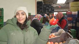 Korkuteli'nden Nar İhracatı Başladı