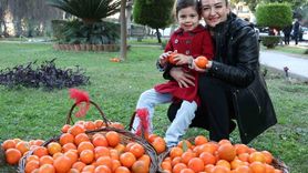 Korkuteli’nin Turunçları Kadınların Emeğiyle Sofralara Geliyor