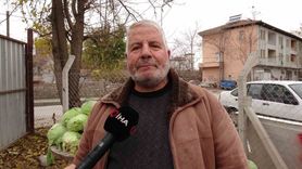 Malatya'da Çiftçiler Alternatif Ürünlerle Zararlarını Gideriyor