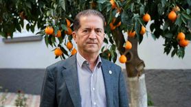 Mandalina Fiyatları Düşüşte: Dalında 3 TL, Pazarda 5 TL