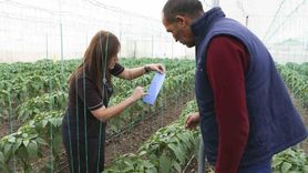 Mersin'de Üreticilere Sera İpi ve Tuzak Desteği