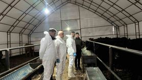 Pertek'te Genç Girişimciler İçin Hayvancılık Desteği