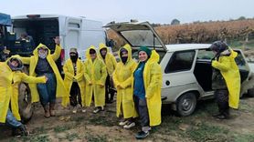 Sarıgöl'de Üzüm Hasadı Yağmura Rağmen Sürüyor