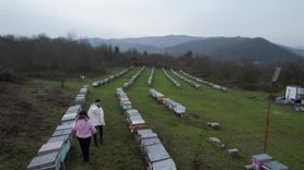 Zonguldak Kestane Balı ile Dünya Çapında Başarı