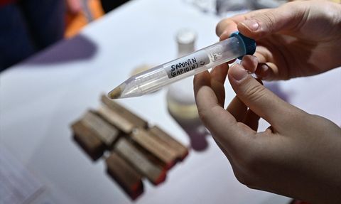 BİLSEM Öğrencileri Orman Yangınları İçin Doğal Çözüm Geliştirerek TEKNOFEST'te Ödül Aldı