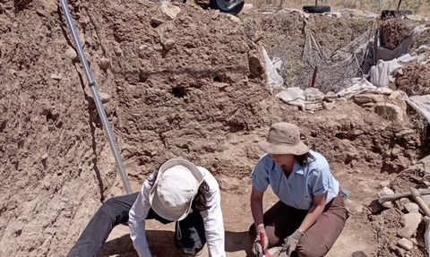 Gökçeada'nın Tarım ve Hayvancılık Tarihi: 8.800 Yıl Önceye Uzanan İzler