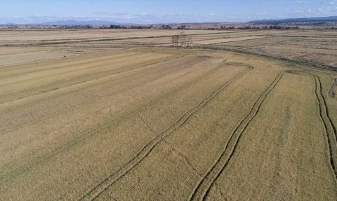 TZOB Genel Başkanı Bayraktar, Çanakkale'deki Tarım Arazilerinde İncelemelerde Bulundu