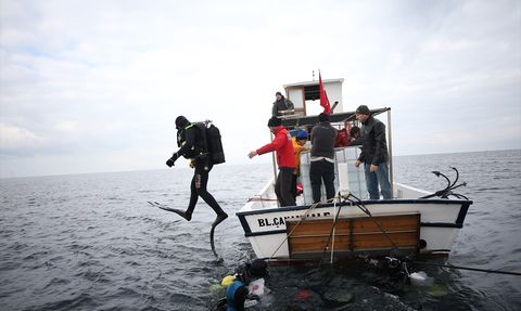 Gelibolu Sualtı Parkı'nda 400 Istakoz Denize Bırakıldı