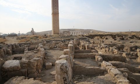 Harran'da 11. Yüzyıla Ait Medrese Derslik Bölümü Ortaya Çıktı