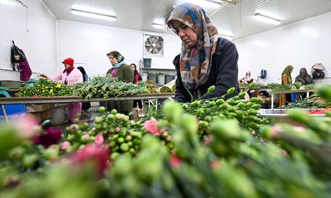 Çiçek Sektörü Japonya Pazarına Açılmak İstiyor