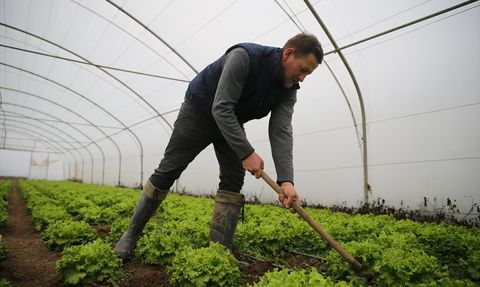Edirne'de Devlet Desteği İle Üretim Rekoru