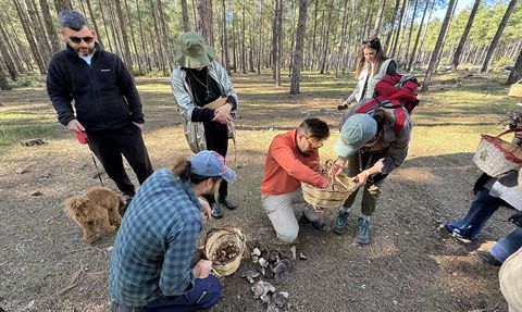 Mantar Tutkunları Antalya'da Bir Araya Geldi