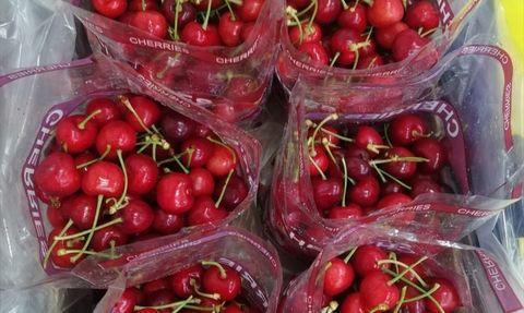 Türkiye'nin Sebze İhracatında Antalya Liderliği Sürdürüyor