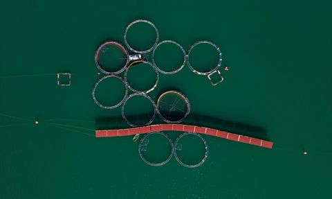 Van'daki Baraj ve HES'lerin Ekonomiye Katkısı